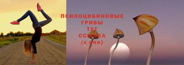 ешки Вяземский