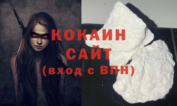 ешки Вяземский