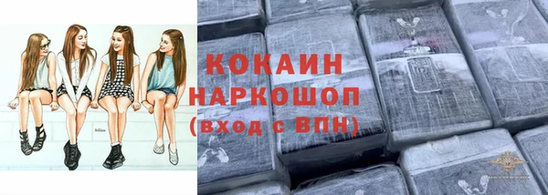 ешки Вяземский
