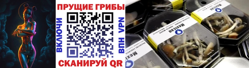 Купить где  Буинск  Галлюциногенные грибы мицелий 